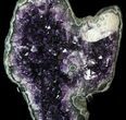 Amethyst Crystal Cluster On Metal Stand - Uruguay #63115-1